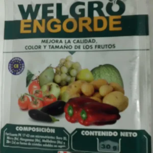 Welgro engorde 30 g frente