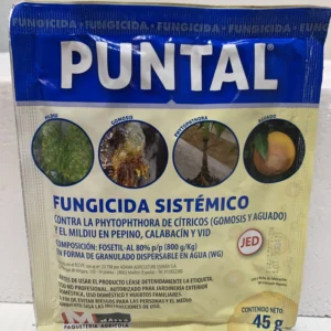 Puntal frente