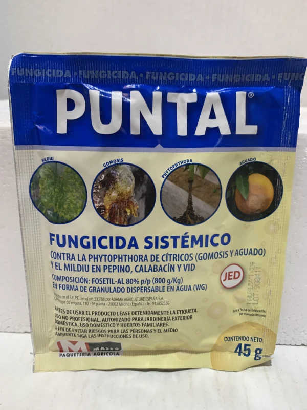 Puntal frente