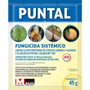 Puntal