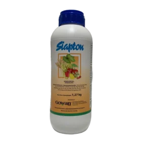 Siapton